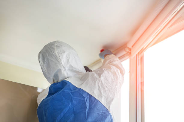 Professional Mold Removal in Waterville, OH